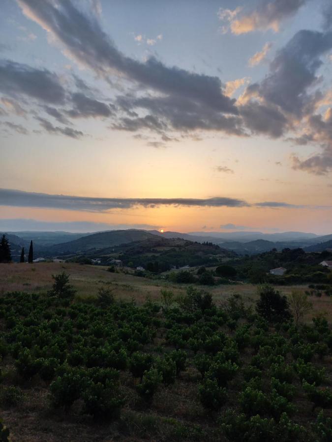 Gite Vigneron Du Domaine D'Alon Magrie Exteriör bild