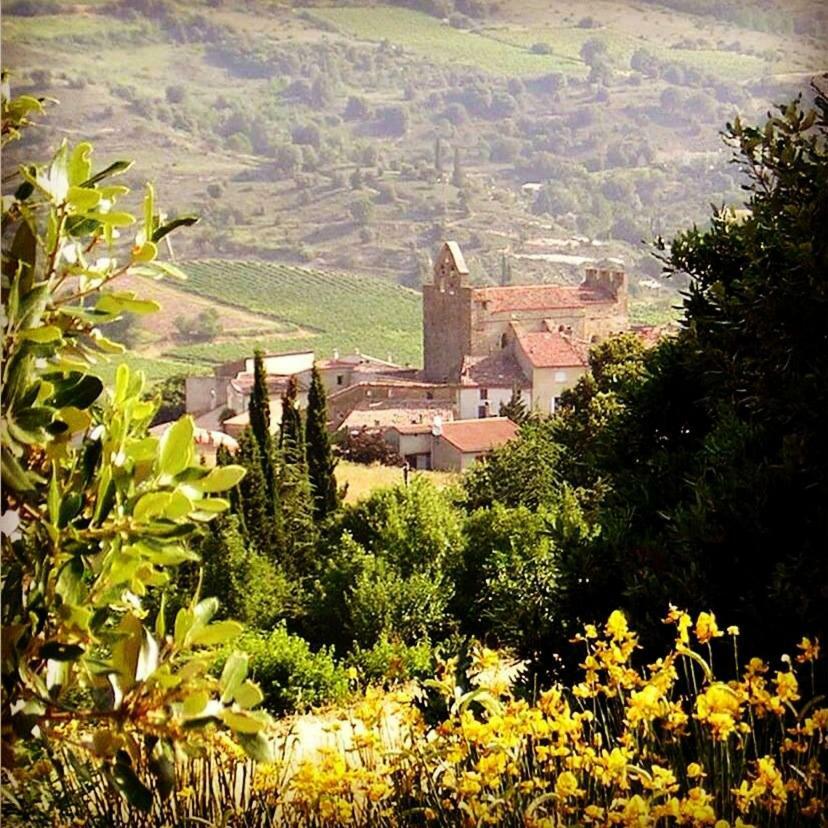 Gite Vigneron Du Domaine D'Alon Magrie Exteriör bild