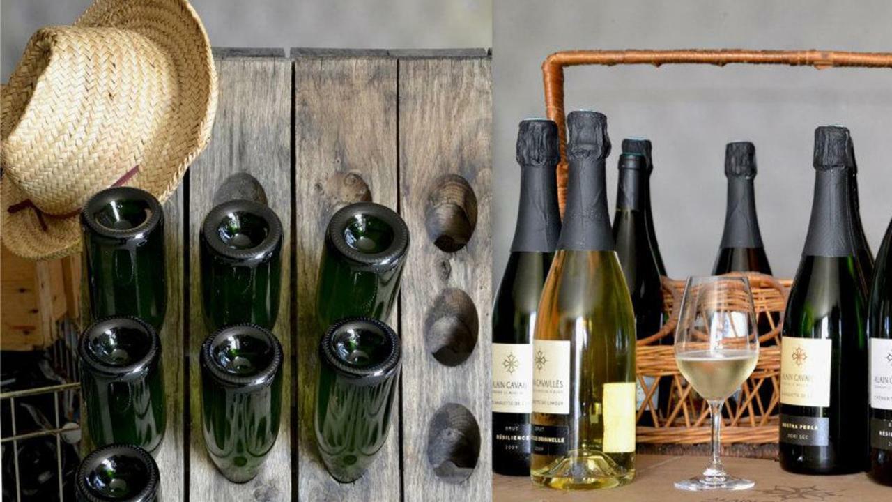 Gite Vigneron Du Domaine D'Alon Magrie Exteriör bild