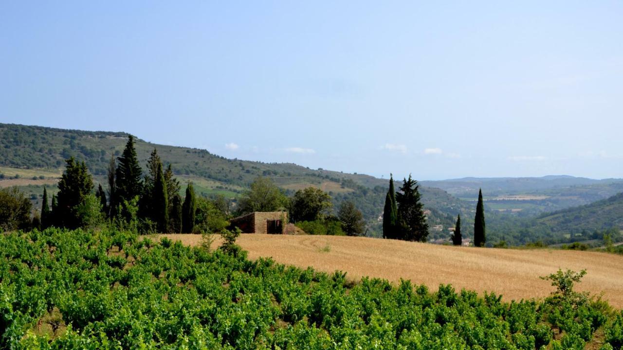 Gite Vigneron Du Domaine D'Alon Magrie Exteriör bild