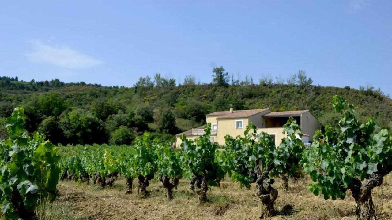 Gite Vigneron Du Domaine D'Alon Magrie Exteriör bild